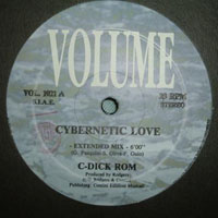 Cybernetic Love
